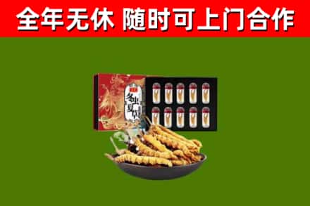 佳木斯烟酒回收冬虫夏草礼盒.jpg